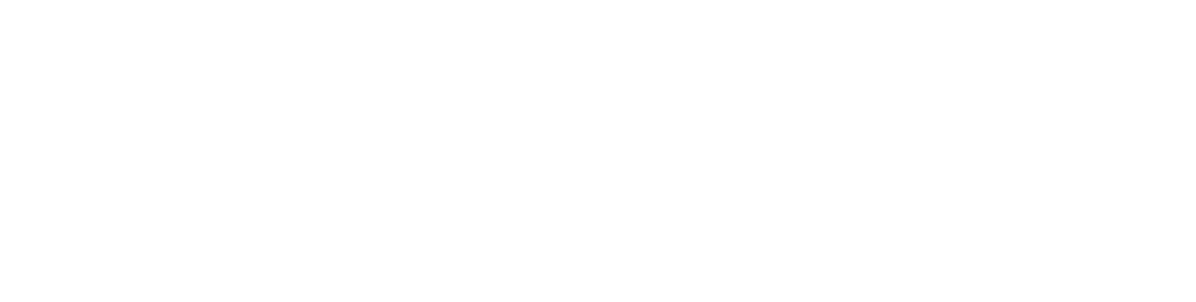 STELIX VENTURES